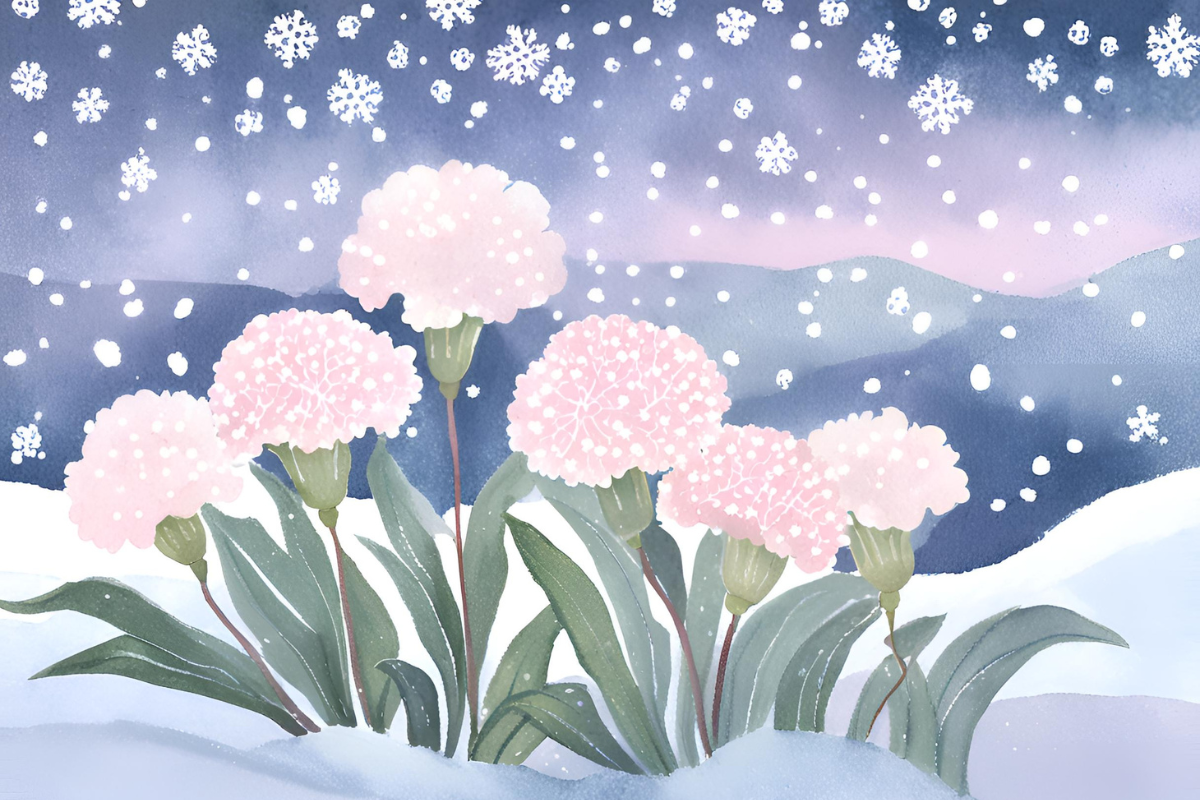 In this graphics a bunch of pink carnation in front of snow covered outdoors and snow fall in the background.